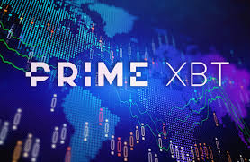Discovering the Potential of Platform PrimeXBT UK