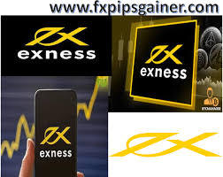 The Comprehensive Guide to Exness Web Platform