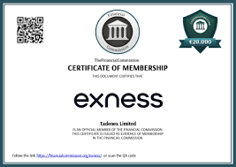 Tracking Your Trades A Comprehensive Guide to Exness Order Track