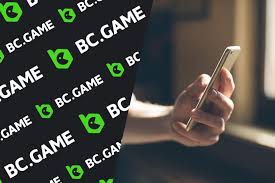 Ultimate Guide to BC Game Download for iPhone 1794877813